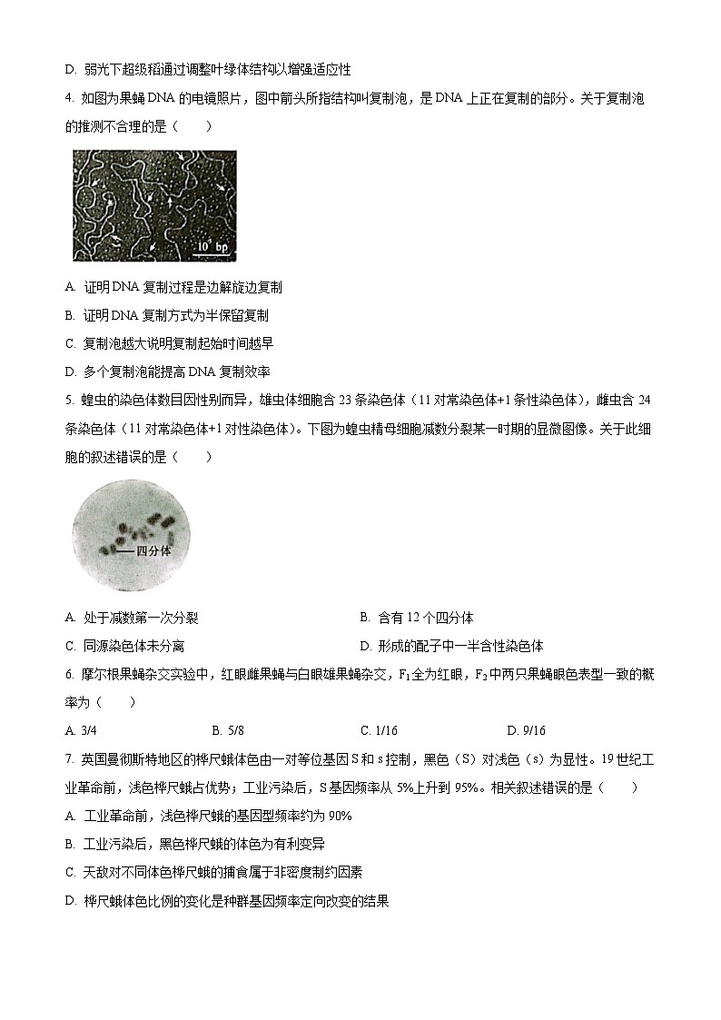 2025届北京市丰台区高三二模生物试题（高考模拟）(001)第2页