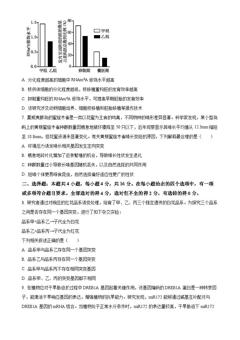 2025届湖南省永州市高三第三次模拟考试生物试题（高考模拟）第3页