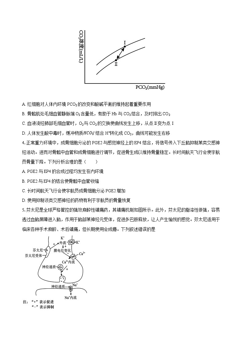 2025届河北省沧州市盐山县盐山中学高三二模生物试题（高考模拟）第2页