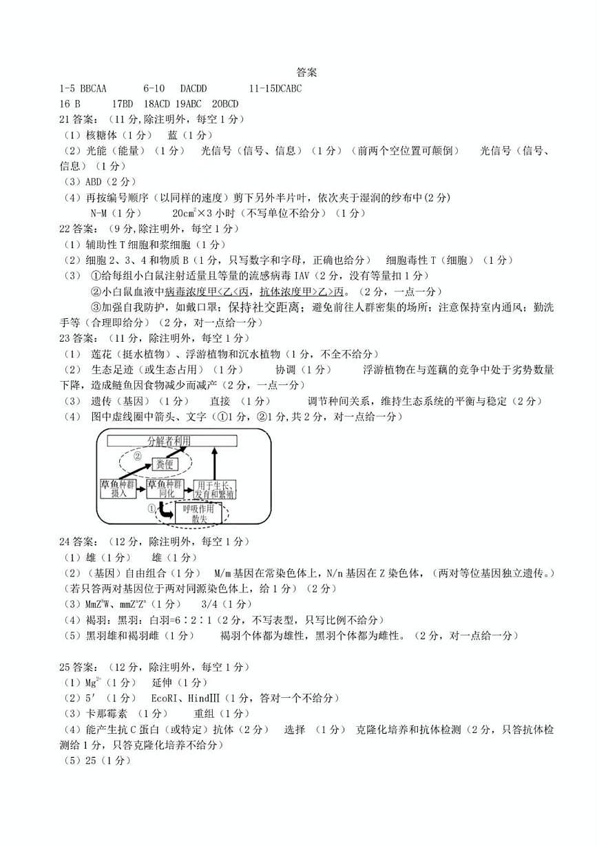 答案第1页