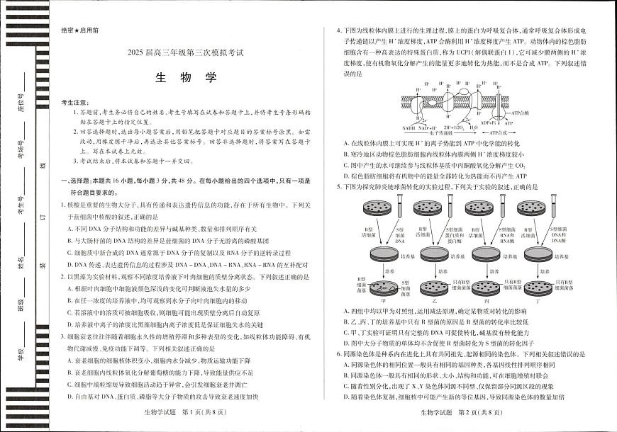 2025届河南省新乡市高三下学期三模生物试题第1页