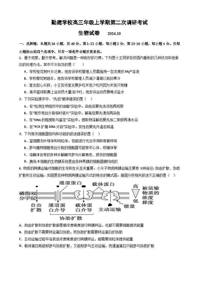 广东省普宁市勤建学校2024-2025学年高三上学期10月第二次调研考试生物试题第1页