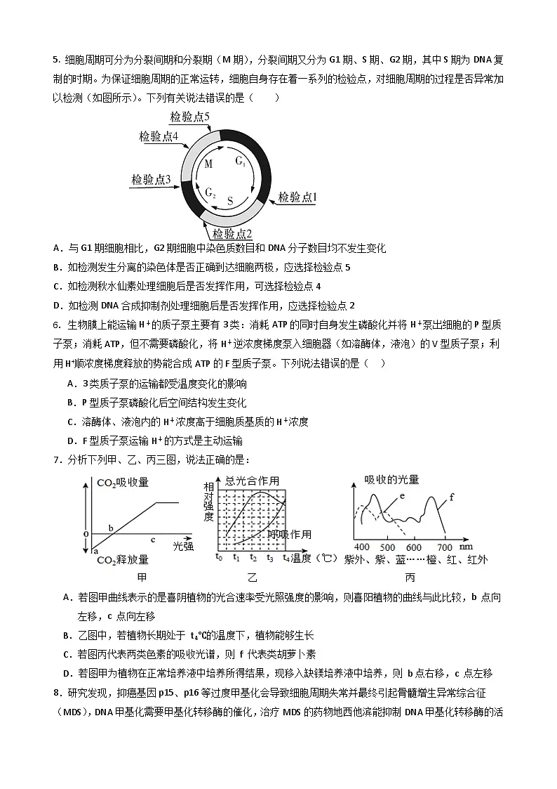 广东省普宁市勤建学校2024-2025学年高三上学期10月第二次调研考试生物试题第2页