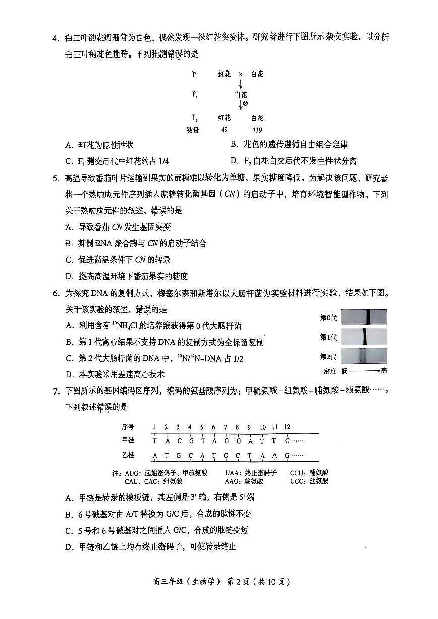 北京市海淀区2025届高三高考模拟第二次模拟-生物试题+答案第2页