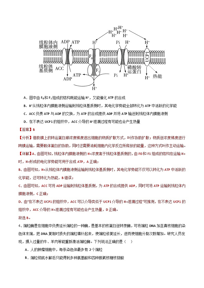 2025年高考押题预测卷：生物（天津卷01）（解析版）第3页