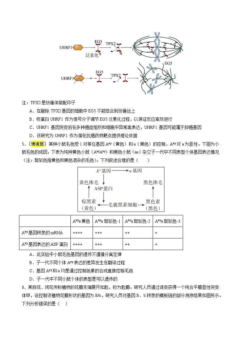 2025年高考押题预测卷：生物（天津卷03）（考试版）第2页