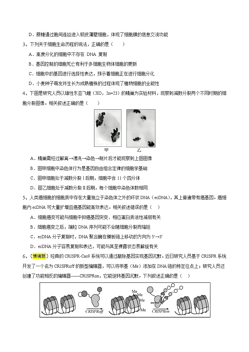 2025年高考押题预测卷：生物（江苏卷01）（考试版）第2页