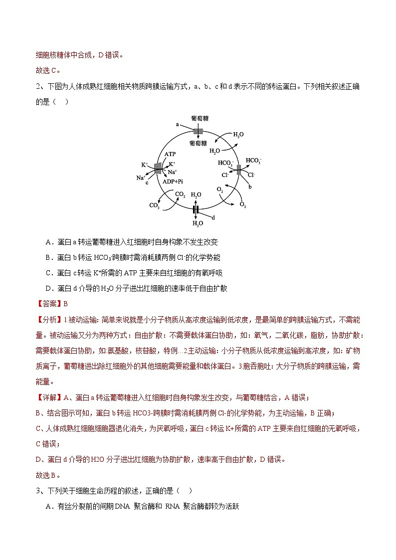 2025年高考押题预测卷：生物（江苏卷02）（解析版）第2页
