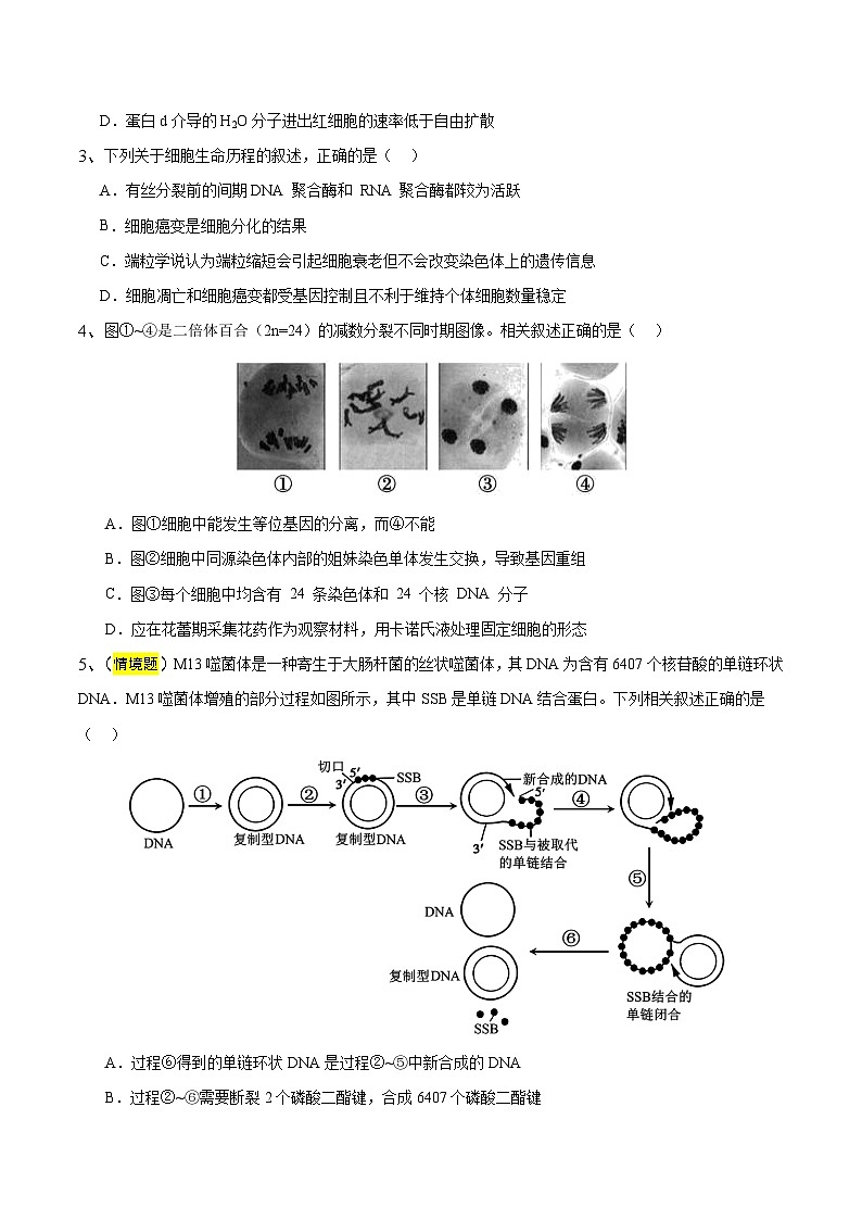 2025年高考押题预测卷：生物（江苏卷02）（考试版）第2页