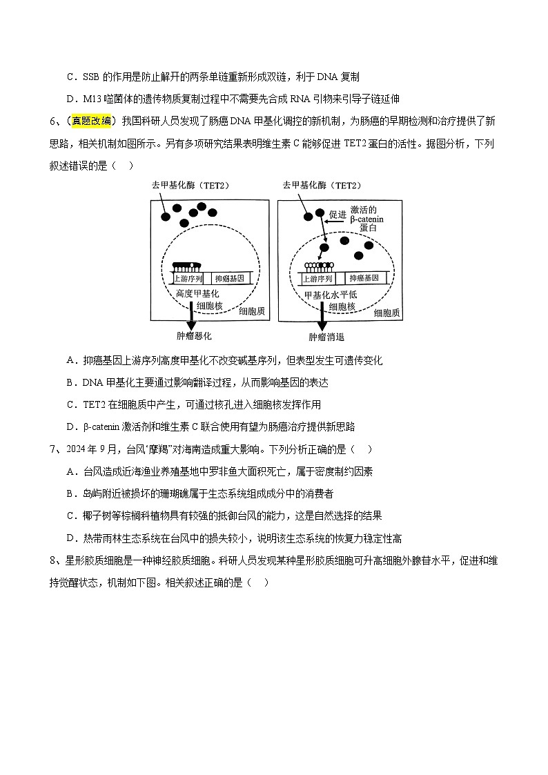 2025年高考押题预测卷：生物（江苏卷02）（考试版）第3页