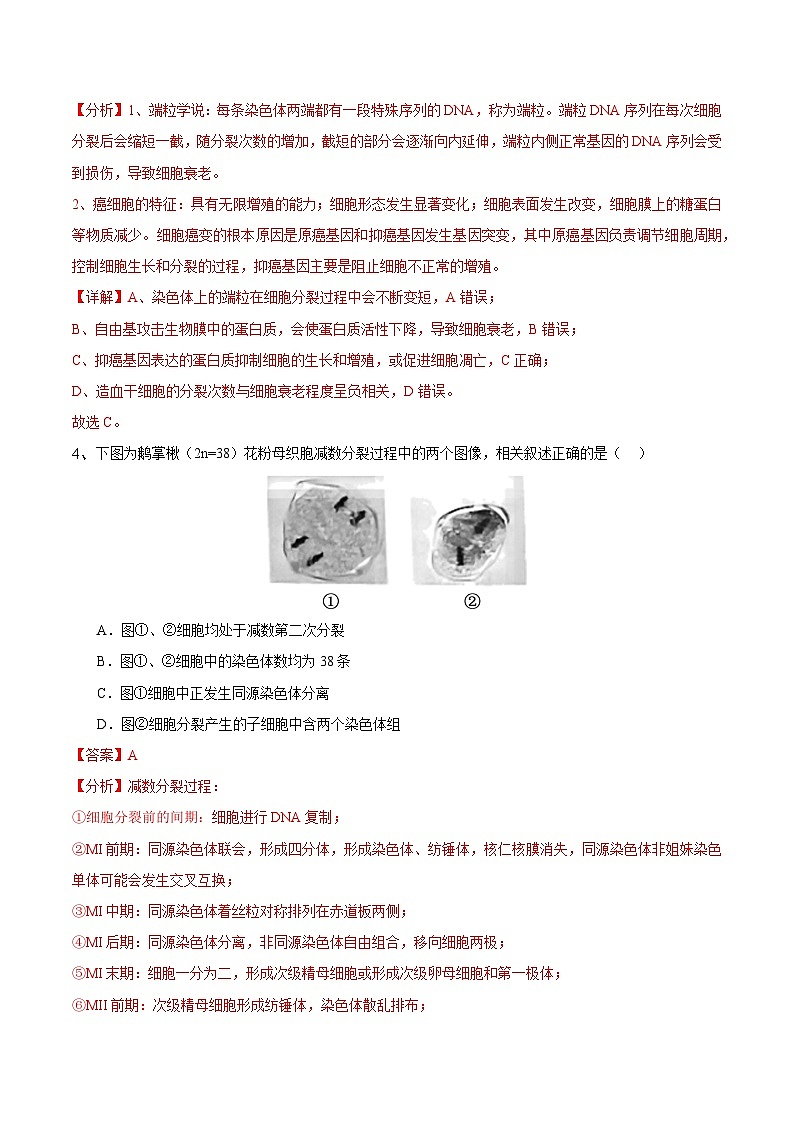 2025年高考押题预测卷：生物（江苏卷03）（解析版）第3页
