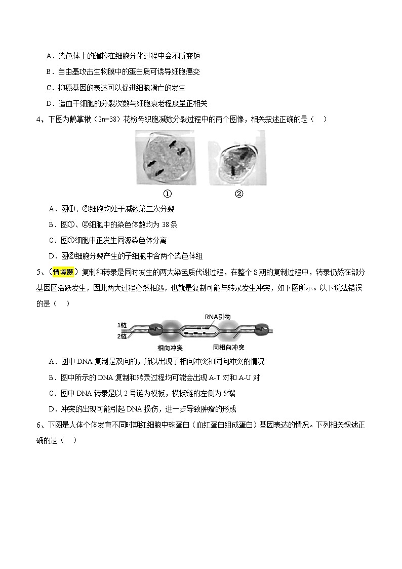 2025年高考押题预测卷：生物（江苏卷03）（考试版）第2页