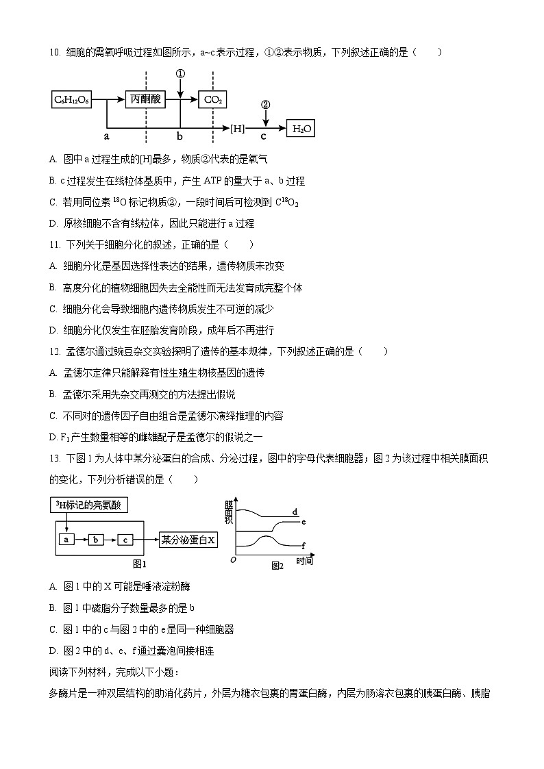 浙江省G5联盟2024-2025学年高一下学期期中考试生物试题（原卷版+解析版）第3页