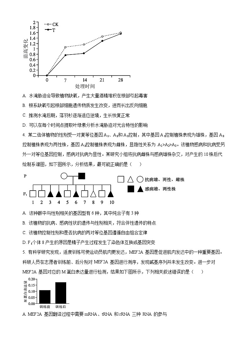 江西省部分高中学校2025届高三下学期4月联考生物试题（原卷版+解析版）第2页