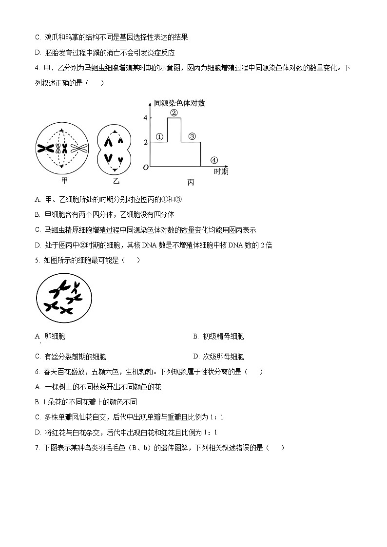 广东省清远市六校2024-2025学年高一下学期期中考试生物试题（原卷版+解析版）第2页
