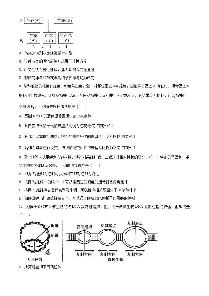 广东省清远市六校2024-2025学年高一下学期期中考试生物试题（原卷版+解析版）第3页