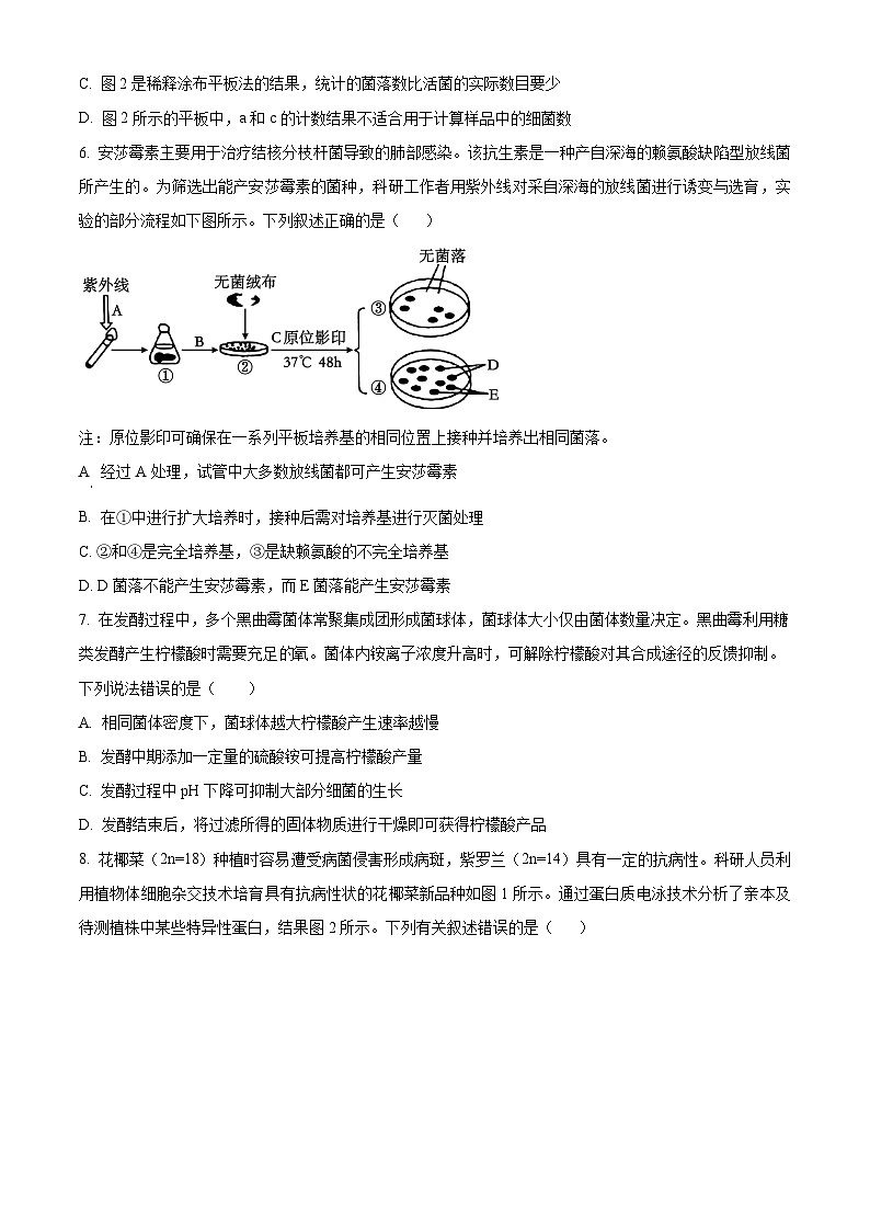 山东师范大学附属中学2024-2025学年高二下学期期中考试生物试题（原卷版+解析版）第3页