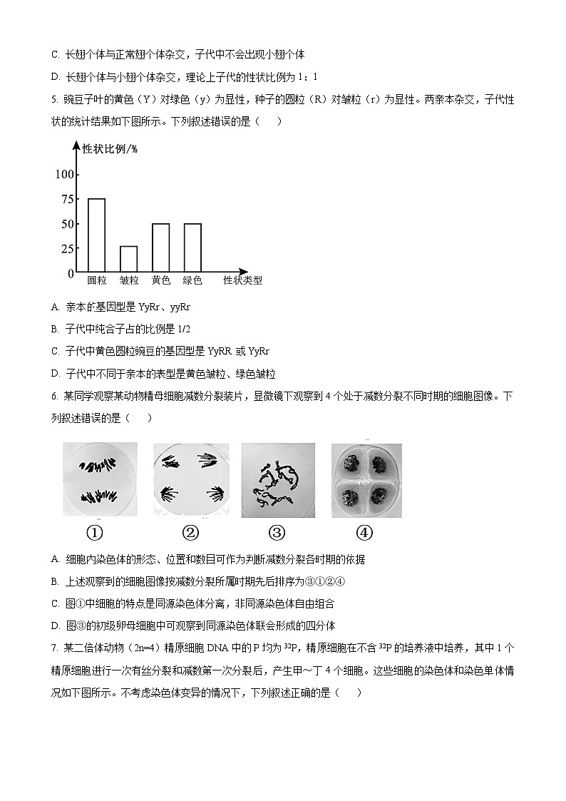 安徽省合肥市普通高中六校联盟2024-2025学年高一下学期4月期中生物试题（原卷版+解析版）第2页