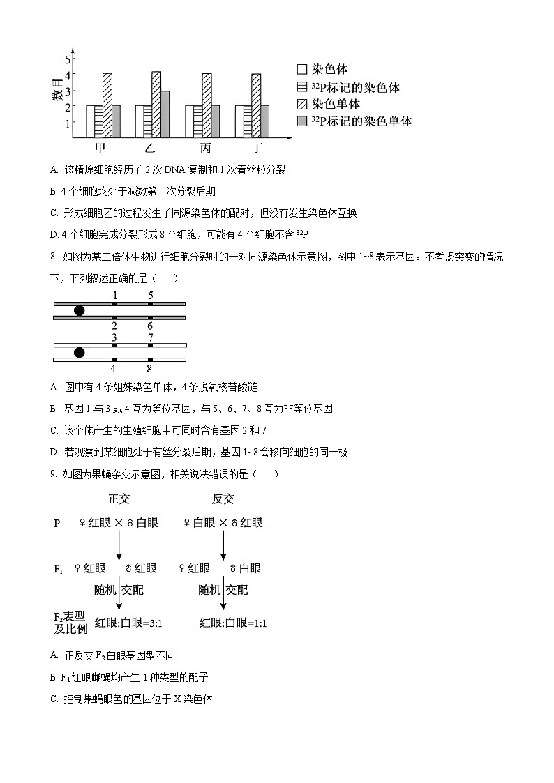 安徽省合肥市普通高中六校联盟2024-2025学年高一下学期4月期中生物试题（原卷版+解析版）第3页
