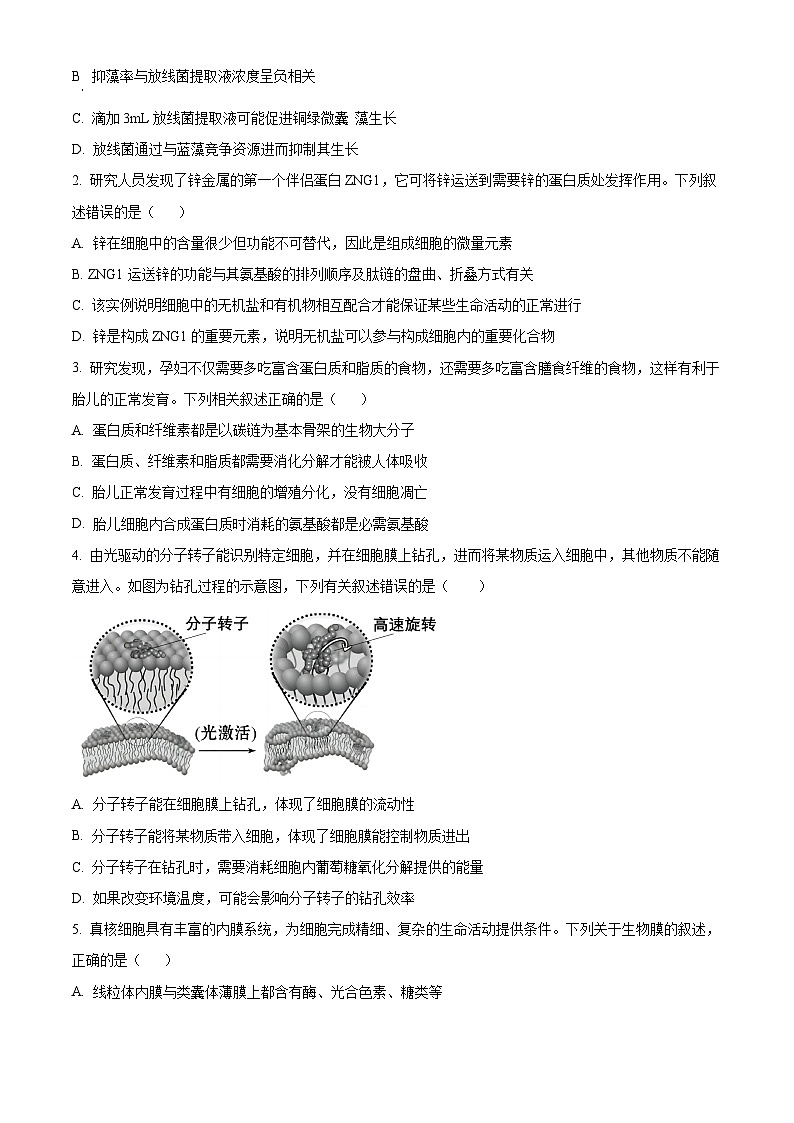 湖北省部分高中协作体2024-2025学年高一下学期4月期中生物试题（原卷版+解析版）第2页