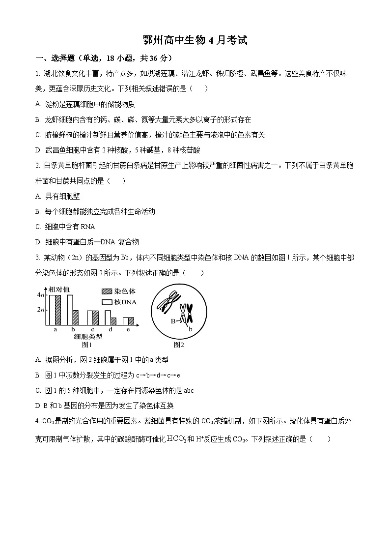 湖北省鄂州高中2024-2025学年高三下学期4月月考生物试题（原卷版+解析版）第1页