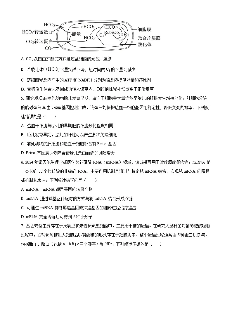 湖北省鄂州高中2024-2025学年高三下学期4月月考生物试题（原卷版+解析版）第2页
