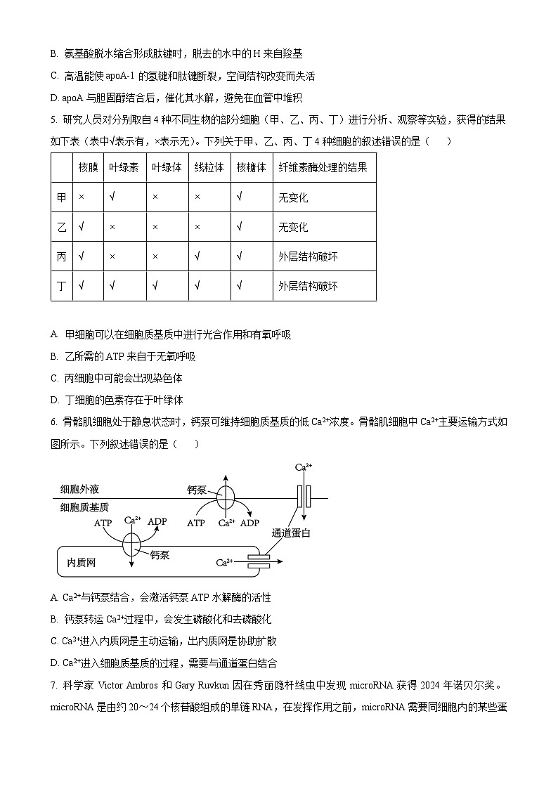 湖北省荆楚优质高中联盟2024-2025学年高一下学期3月月考生物试卷（原卷版+解析版）第2页
