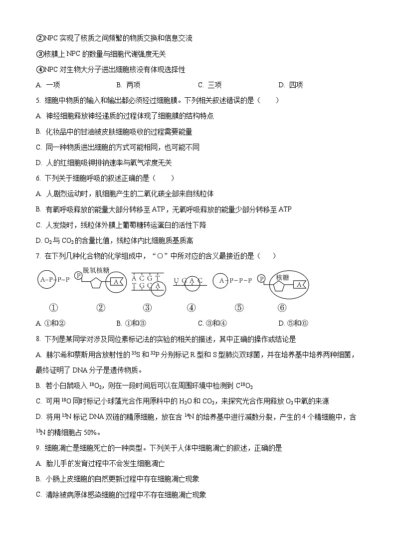 湖南省岳阳市汨罗市汨罗市第一中学2024-2025学年高一下学期3月月考生物试题（原卷版+解析版）第2页