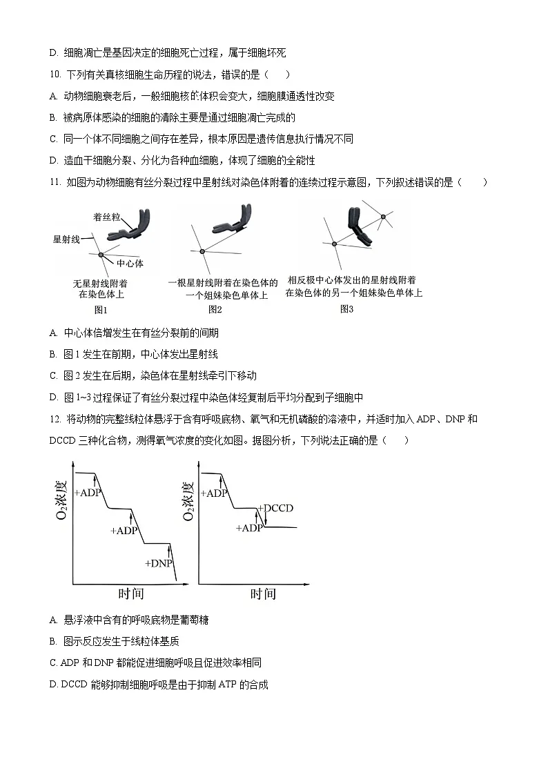 湖南省岳阳市汨罗市汨罗市第一中学2024-2025学年高一下学期3月月考生物试题（原卷版+解析版）第3页