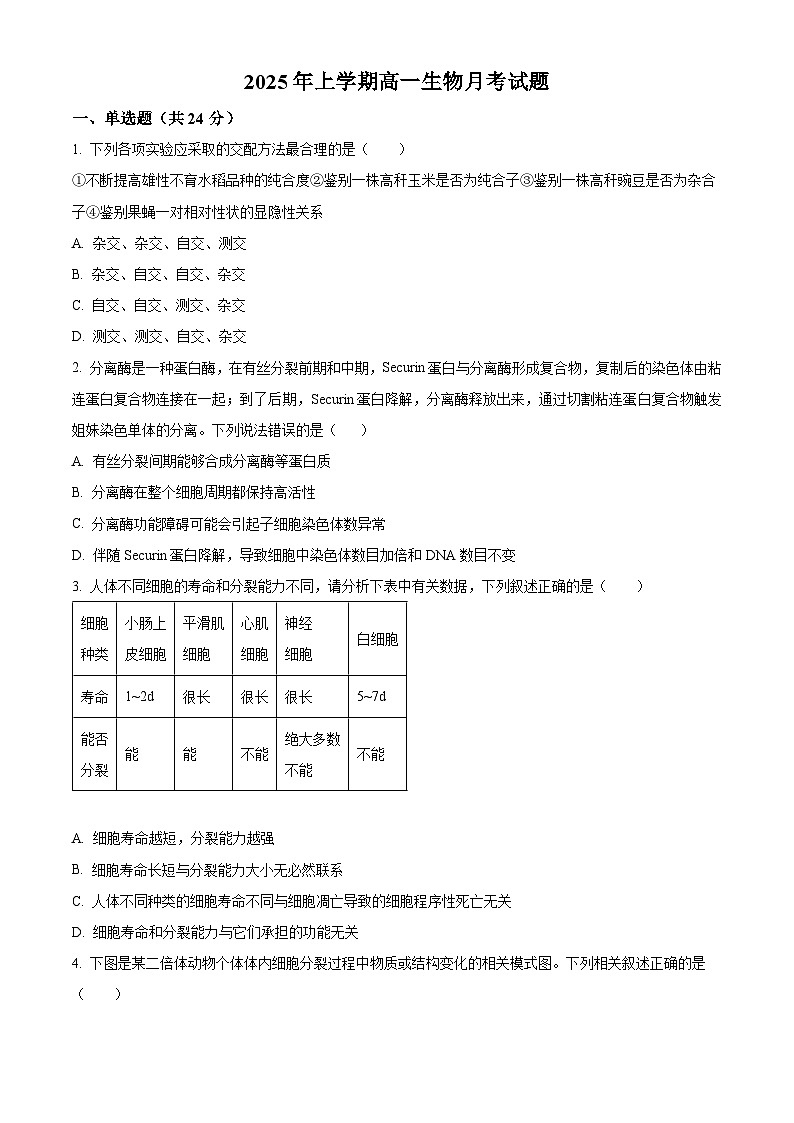 湖南省岳阳县第一中学2024-2025学年高一下学期3月月考生物试题（原卷版+解析版）第1页