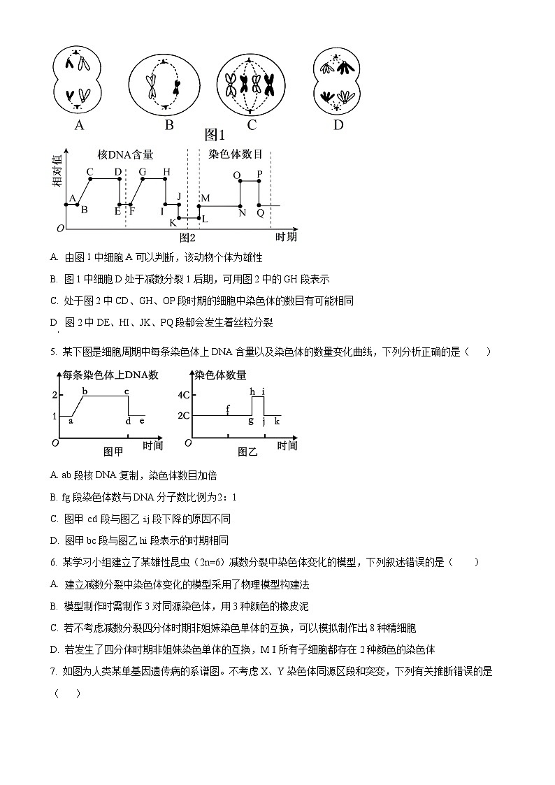 湖南省岳阳县第一中学2024-2025学年高一下学期3月月考生物试题（原卷版+解析版）第2页