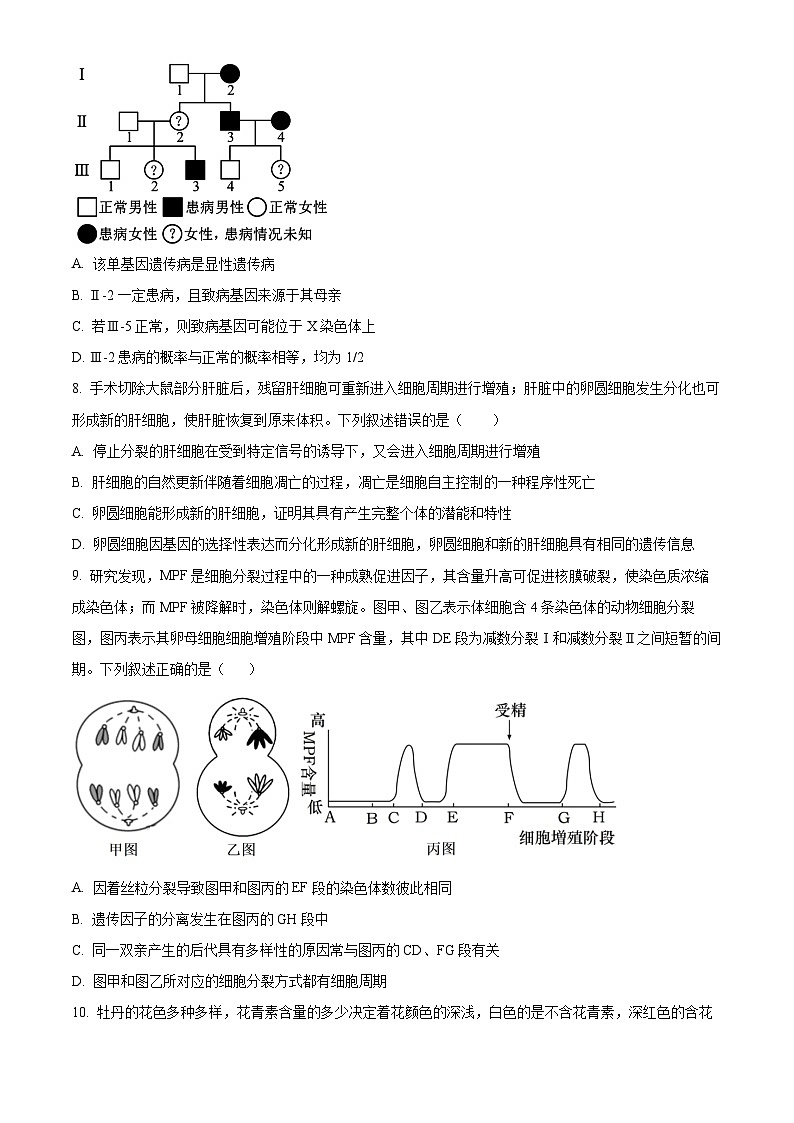 湖南省岳阳县第一中学2024-2025学年高一下学期3月月考生物试题（原卷版+解析版）第3页