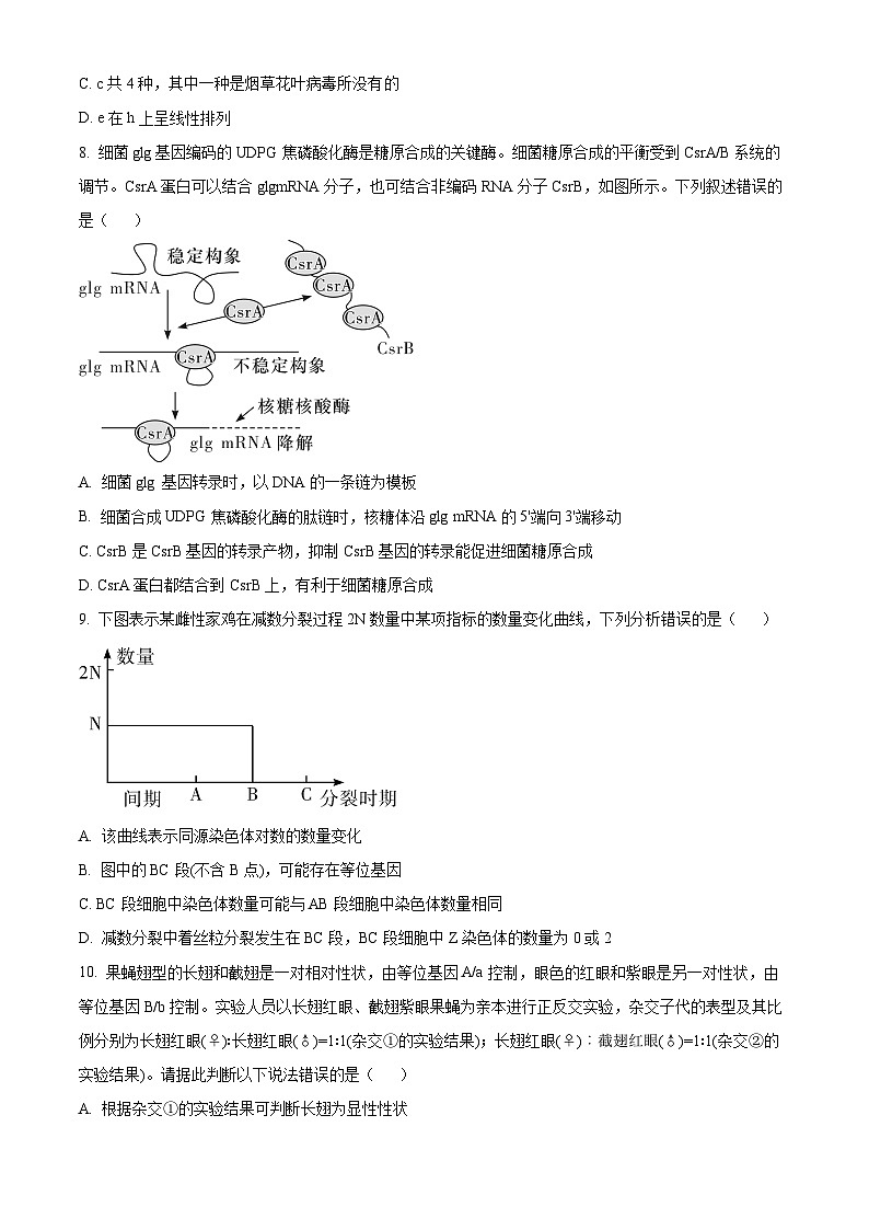 湖南省长沙市第一中学2024-2025学年高一下学期期中考试生物试题（原卷版+解析版）第3页