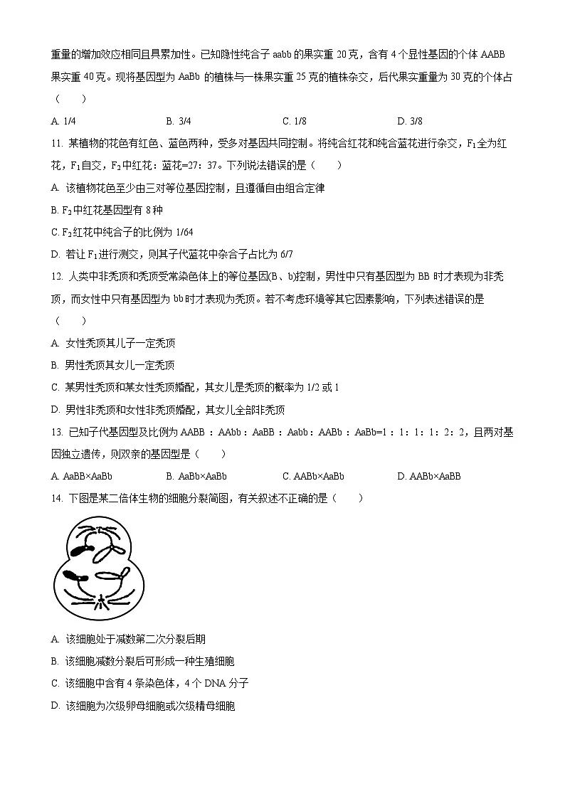 吉林省长春市朝阳区长春吉大附中实验学校2024-2025学年高一下学期4月月考生物试题（原卷版+解析版）第3页