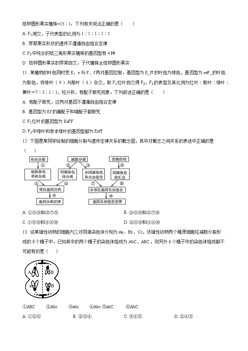 吉林省长春市第二实验中学2024-2025学年高一下学期4月月考生物试题（原卷版+解析版）第3页