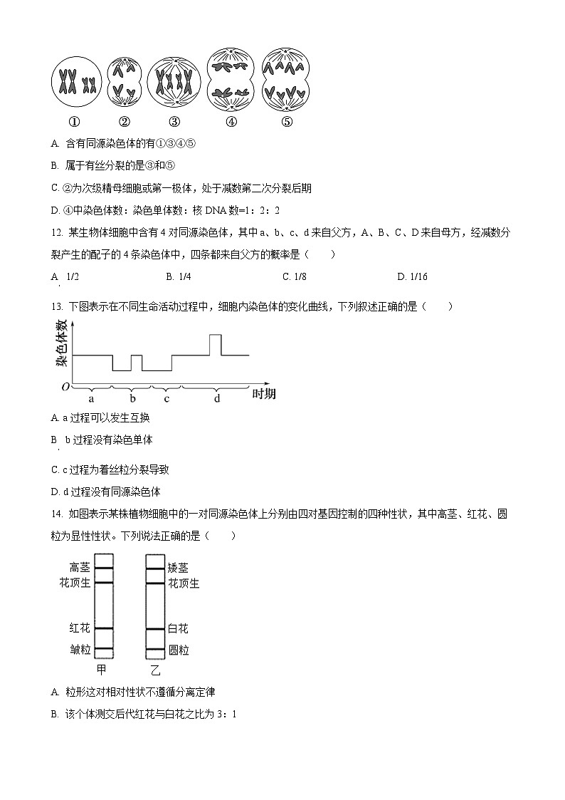 江苏省苏州市相城区苏州国裕外语学校2024-2025学年高一下学期3月月考生物试题（原卷版+解析版）第3页