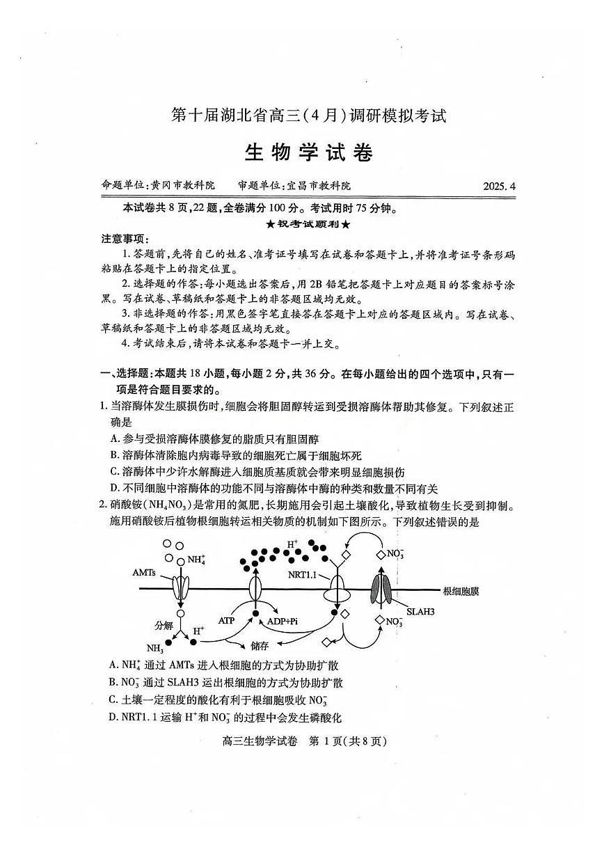 2025届高三湖北省高三四调 生物试题（含答案）第1页