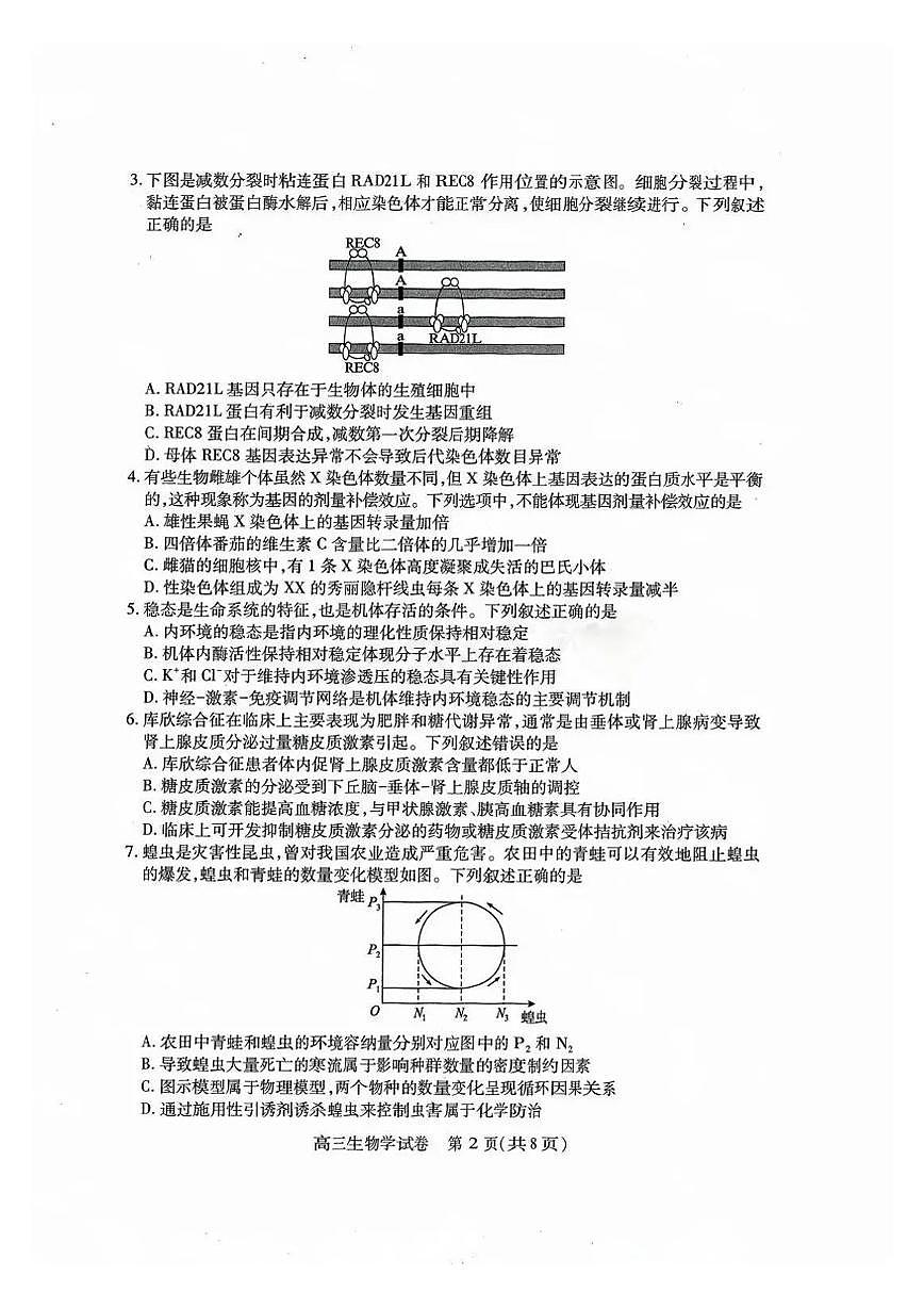 2025届高三湖北省高三四调 生物试题（含答案）第2页