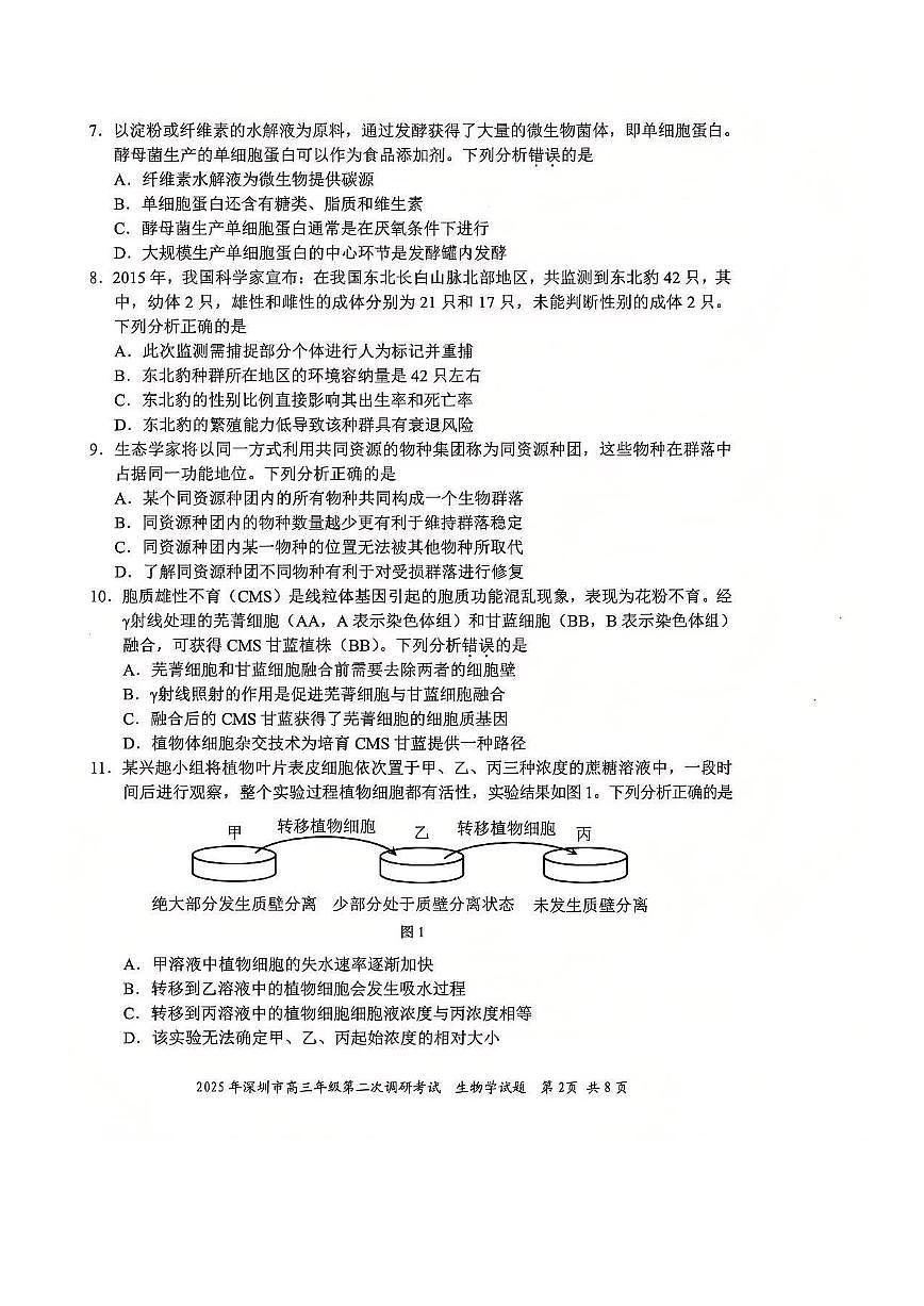 2025年广东省深圳市高三二模考试 生物试题（含答案）第2页