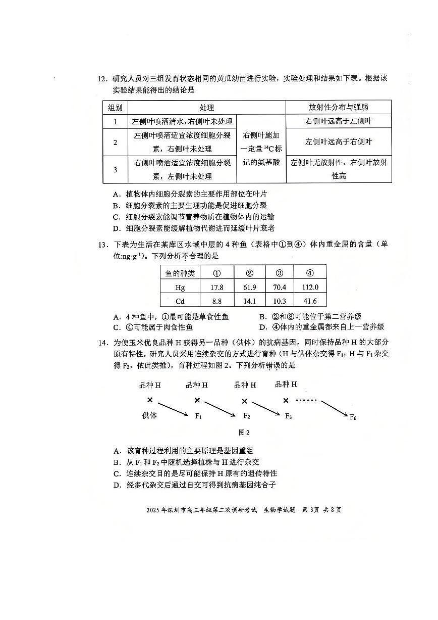 2025年广东省深圳市高三二模考试 生物试题（含答案）第3页