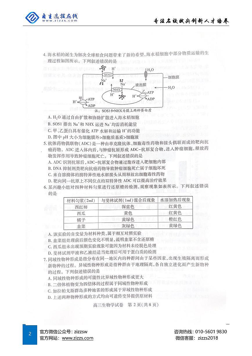 2025年湖北省武汉市高三四调考试 生物试卷（含答案）第2页