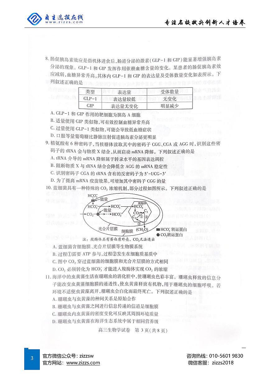 2025年湖北省武汉市高三四调考试 生物试卷（含答案）第3页