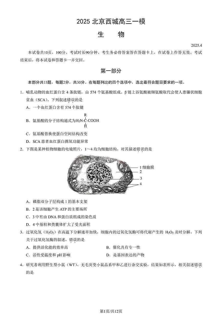 北京市西城区2025届高三一模生物试题（含答案）第1页