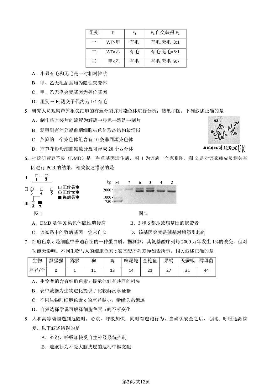 北京市西城区2025届高三一模生物试题（含答案）第2页