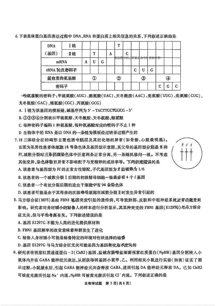 江淮十校2025届高三第三次联考 生物试题（含答案）第3页