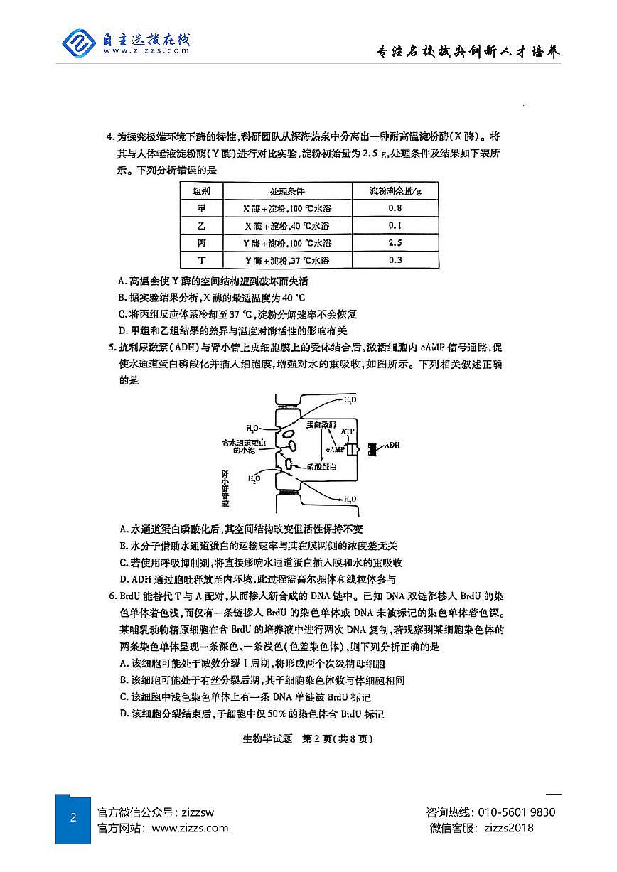 天一大联考2025届高三第七次联考 生物试题（含答案）第2页