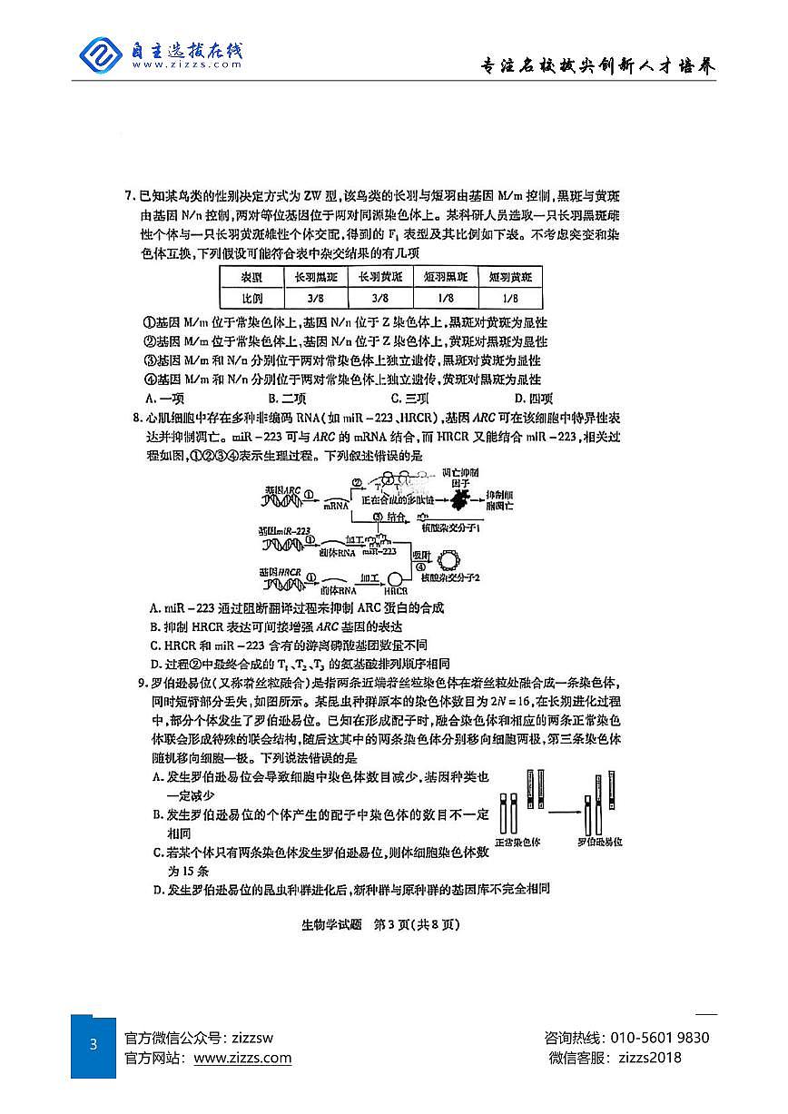天一大联考2025届高三第七次联考 生物试题（含答案）第3页
