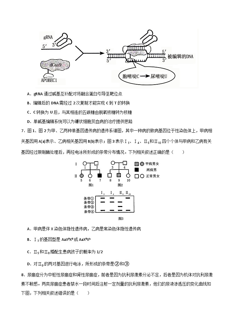 2025年高考押题预测卷：生物（河南卷01）（考试版）第3页