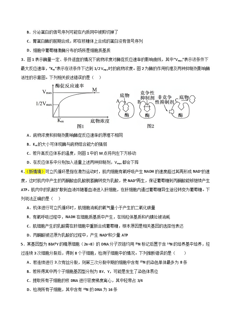 2025年高考押题预测卷：生物（河南卷02）（考试版）第2页