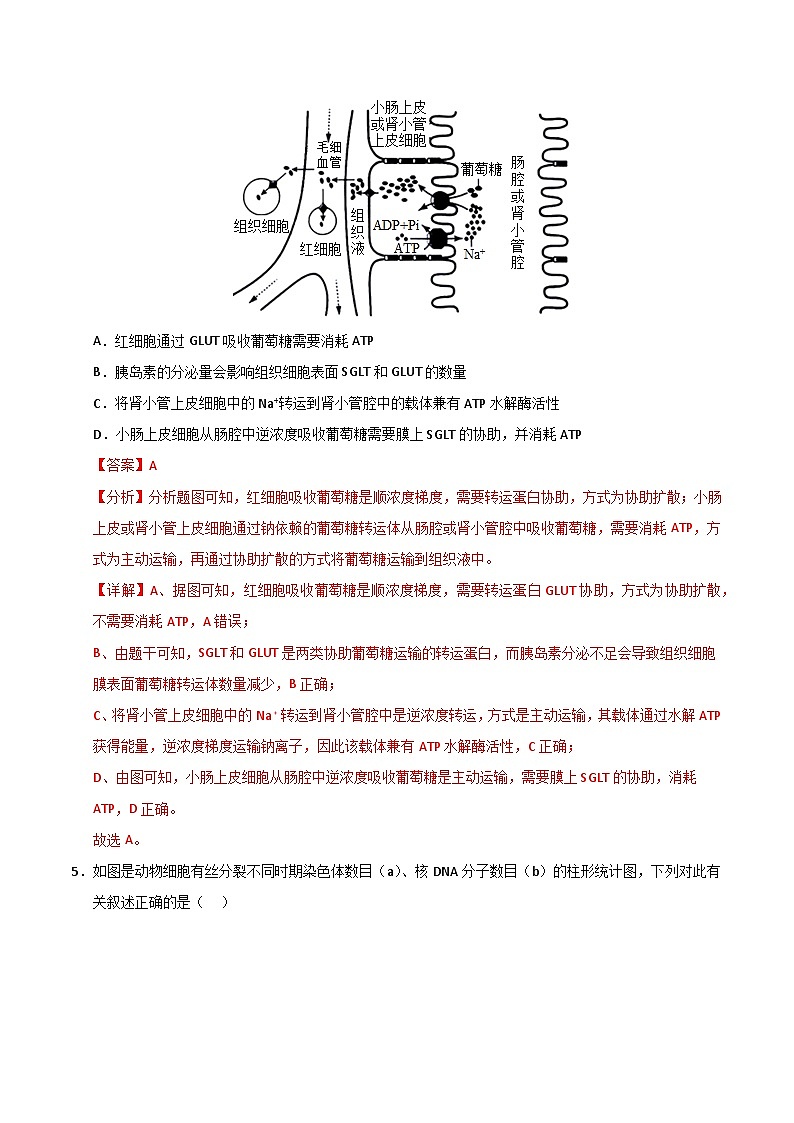 2025年高考押题预测卷：生物（云南卷02）（解析版）第3页